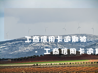 工商信用卡逾期被凍結(jié)了怎么解凍-工商信用卡逾期被凍結(jié)了怎么解凍呢