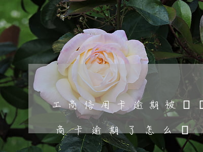 工商信用卡逾期被凍結(jié)怎么辦(工商卡逾期了怎么辦)