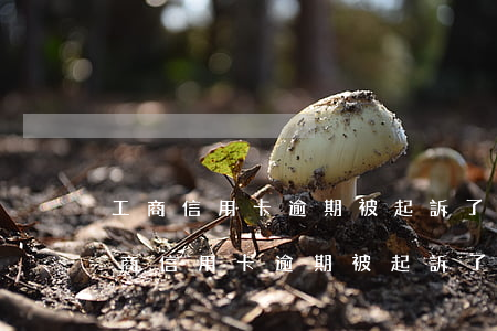 工商信用卡逾期被起訴了,怎么協商還款-工商信用卡逾期被起訴了,怎么協商還款呢