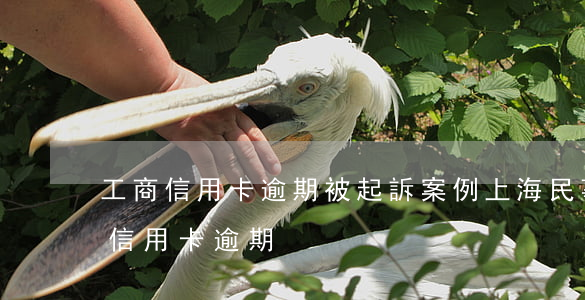 工商信用卡逾期被起訴案例上海(民事訴訟法信用卡逾期)