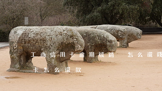 工商信用卡逾期被銷戶怎么還錢(銷戶的信用卡怎么還款)