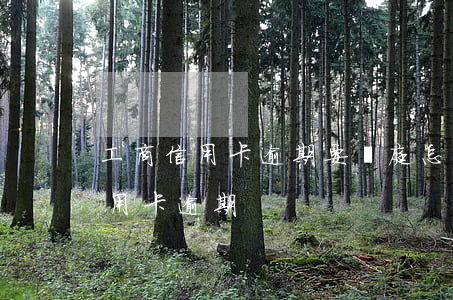 工商信用卡逾期要開庭怎么辦(法院怎么判信用卡逾期)