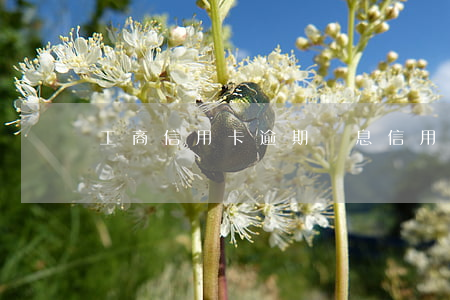 工商信用卡逾期記息(信用卡 逾期 通知)
