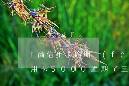工商信用卡逾期費(fèi)多少錢(工商信用卡5000逾期了三年要還多少錢)