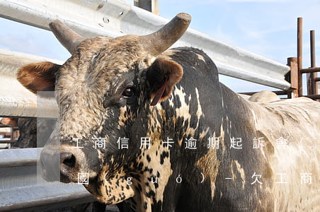 工商信用卡逾期起訴會(huì)坐牢嗎中國(guó)-欠工商信用卡錢(qián)被銀行起訴了會(huì)怎么樣