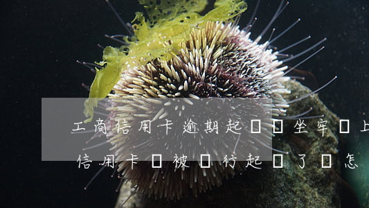 工商信用卡逾期起訴會坐牢嗎上海-欠工商信用卡錢被銀行起訴了會怎么樣