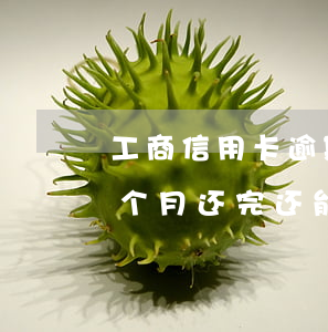 工商信用卡逾期还款不恢复额度(工行逾期两个月还完还能恢复额度吗)