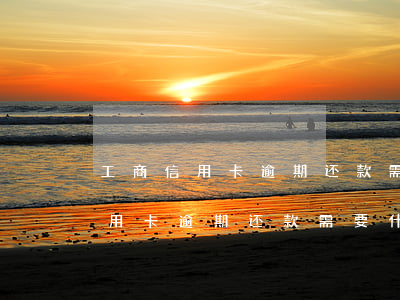 工商信用卡逾期还款需要什么条件-工商信用卡逾期还款需要什么条件呢