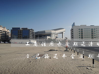工商信用卡逾期还清吗(欠工行信用卡2000已经还本金 逾期 年)