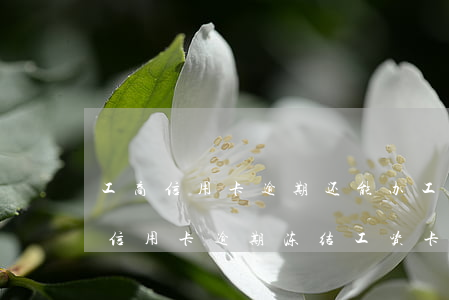 工商信用卡逾期还能办工薪卡吗(工商银行因信用卡逾期冻结工资卡合法吗)
