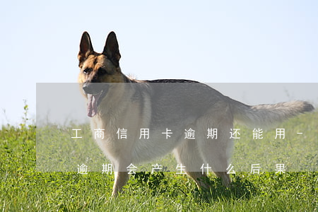 工商信用卡逾期还能用-工商银行的信用卡逾期会产生什么后果