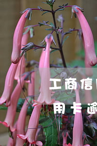 工商信用卡逾期違約金太高怎么辦-工商信用卡逾期違約金太高怎么辦啊