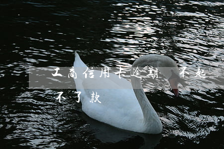 工商信用卡逾期還不起(為什么工商信用卡還不了款)