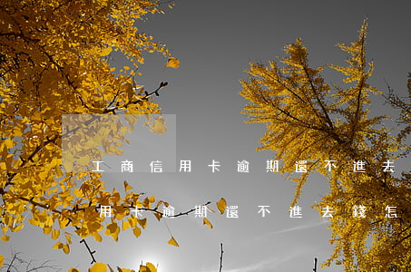 工商信用卡逾期還不進去錢怎么辦-工商信用卡逾期還不進去錢怎么辦呢