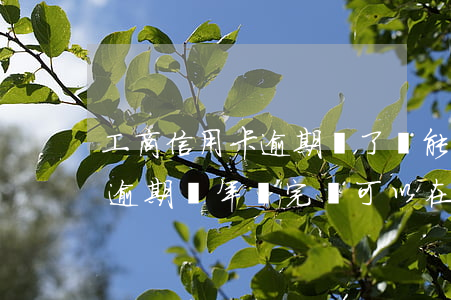 工商信用卡逾期還了還能刷嗎(工商銀行信用逾期幾年還完還可以在用嗎)
