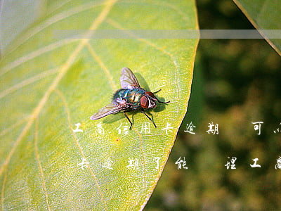 工商信用卡逾期還可以開儲蓄卡嗎(工商銀行卡逾期了 能辦理工商銀行卡嗎)