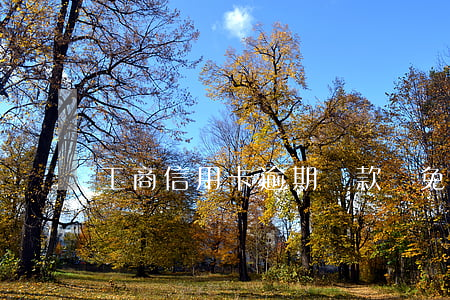 工商信用卡逾期還款會免罰息嗎