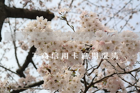 工商信用卡逾期還清