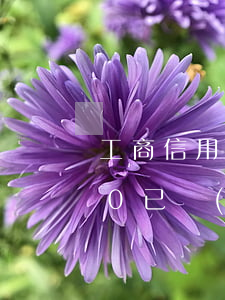 工商信用卡逾期還清嗎(欠工行信用卡2000已經(jīng)還本金 逾期 年)