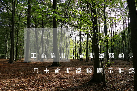 工商信用卡逾期還錢顯示拒絕還款-工商信用卡逾期還錢顯示拒絕還款什么意思