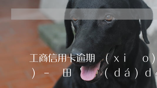 工商信用卡逾期銷(xiāo)號(hào)-豐田漢蘭達(dá)d4st全車(chē)下來(lái)多少?