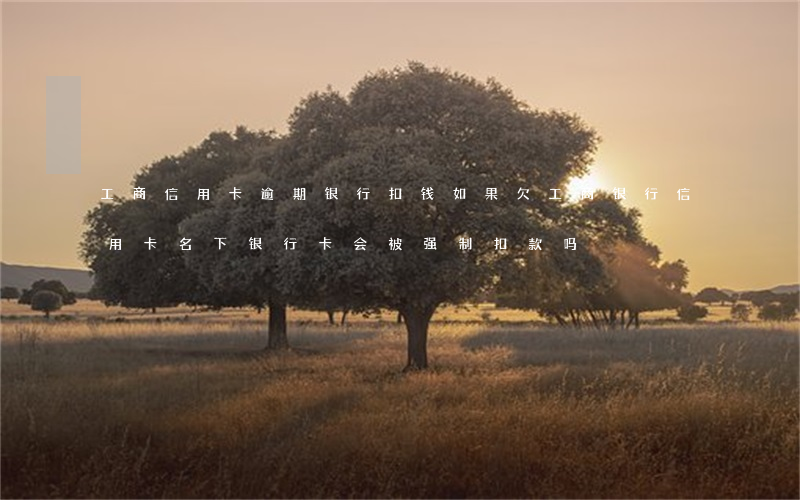 工商信用卡逾期银行扣钱(如果欠工商银行信用卡名下银行卡会被强制扣款吗)
