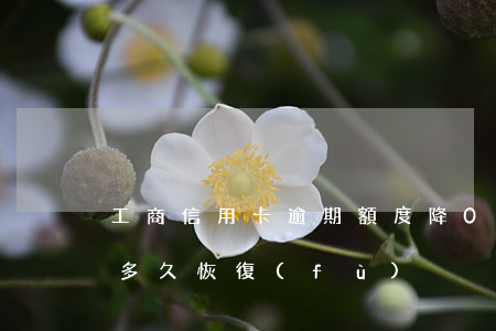 工商信用卡逾期額度降0(工商額度逾期降0多久恢復(fù))