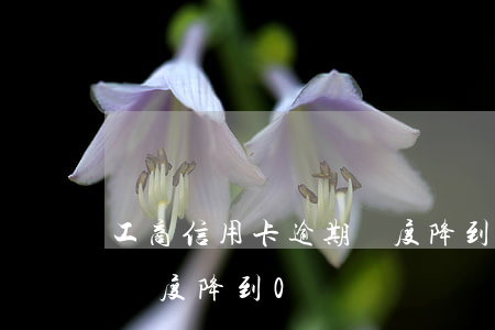 工商信用卡逾期額度降到0(工商信用卡逾期額度降到0)