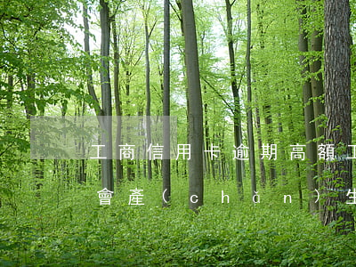 工商信用卡逾期高額(工商銀行的信用卡逾期會產(chǎn)生什么后果)