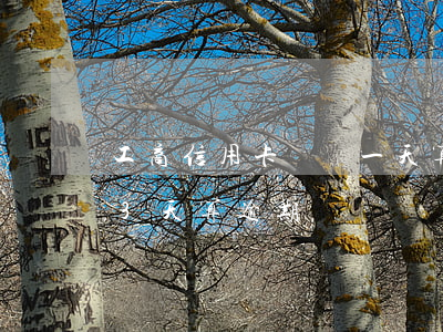工商信用卡遲還一天算逾期嗎-工商信用卡3天算逾期嗎