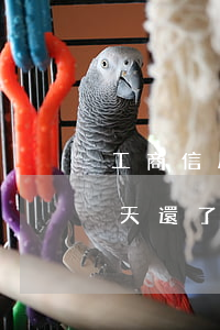 工商信用卡還卡逾期八天(工商信用卡逾期幾天還了 還能使用嗎)