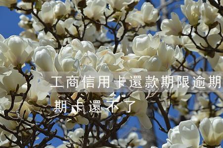 工商信用卡還款期限逾期(工商銀行信用卡逾期卡還不了)