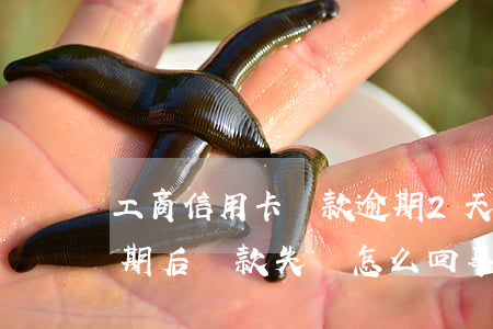 工商信用卡還款逾期2天(工商銀行信用卡逾期后還款失敗怎么回事)