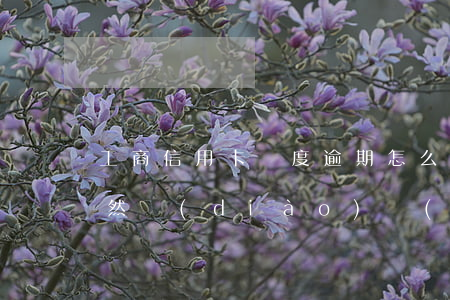 工商信用卡額度逾期怎么申訴(為什么蘋果突然調(diào)節(jié)不了亮度)