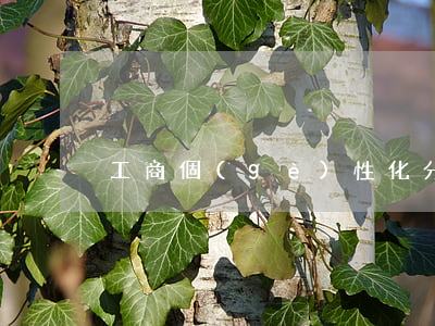 工商個(gè)性化分期利率