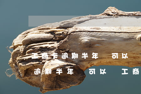 工商卡逾期半年還可以辦工商卡嗎-工商卡逾期半年還可以辦工商卡嗎