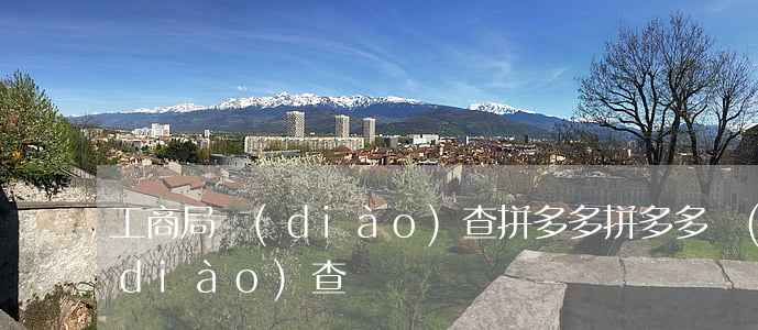 工商局調(diào)查拼多多(拼多多 調(diào)查)
