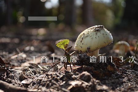 工商工商房貸逾期13次(工商房貸逾期一天)