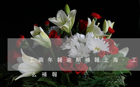 工商年報逾期補報上海-工商年報漏報了怎么補報