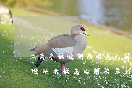 工商年报逾期未报怎么解决苏州-工商年报逾期未报怎么解决苏州银行