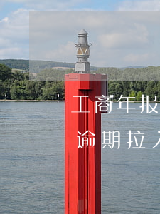 工商年报逾期申报后发现报错了-工商年报逾期拉入异常,年报补报了,异常怎么办