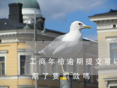 工商年檢逾期提交可以修改嗎-工商年檢逾期了要罰款嗎