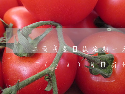 工商房屋貸款逾期一天(工商銀行房貸逾期一個(gè)月會有什么后果)