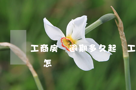 工商房貸逾期多久起訴(工商房貸逾期兩個月會怎樣)