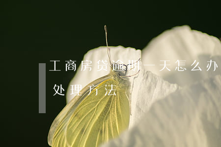 工商房贷逾期一天怎么办(房贷逾期一天怎么处理方法)