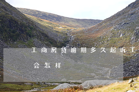 工商房贷逾期多久起诉(工商房贷逾期两个月会怎样)