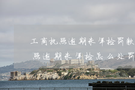 工商执照逾期未年检罚款多少上海-工商执照逾期未年检怎么处罚