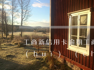 工商新信用卡逾期(工商銀行的信用卡逾期會(huì)產(chǎn)生什么后果)