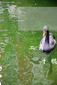 工商斷十根肋骨賠償二十萬(wàn)(工商斷十根肋骨賠償二十萬(wàn))