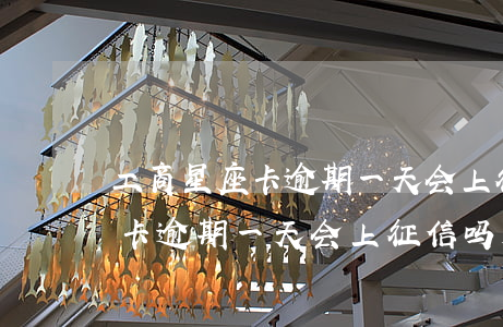 工商星座卡逾期一天会上征信吗-工商星座卡逾期一天会上征信吗知乎